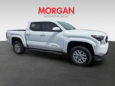 2024 Toyota Tacoma - Photo 2