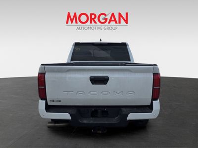 2024 Toyota Tacoma - Photo 6
