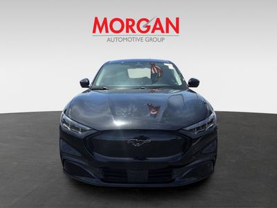 2025 Ford Mustang Mach-E - Photo 3