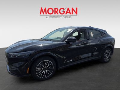 2025 Ford Mustang Mach-E - Photo 9