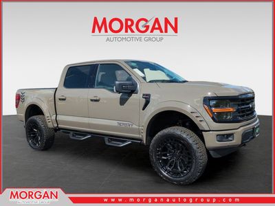2026 Ford F-150 XLT in Gray — front three-quarter view