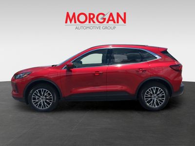 2025 Ford Escape Plug-In Hybrid - Photo 8