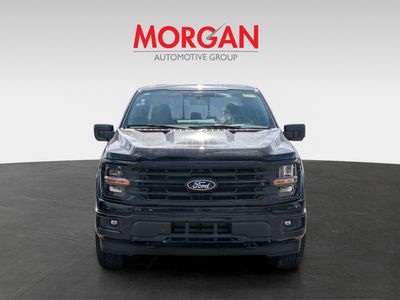 2026 Ford F-150 — rear three-quarter view