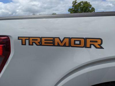 2026 Ford F-150 — photo 10 view