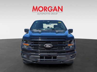 2026 Ford F-150 - Photo 2