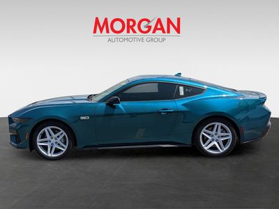 2026 Ford Mustang - Photo 4