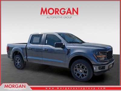 2026 Ford F-150 STX in Gray — front three-quarter view