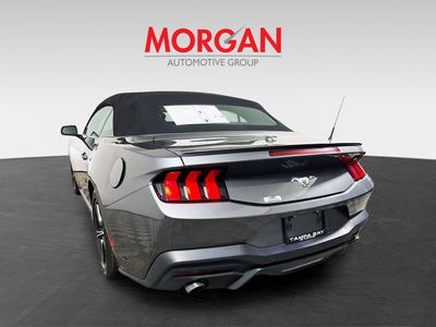 2024 Ford Mustang - Photo 5