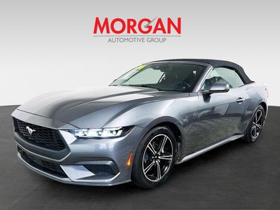 2024 Ford Mustang - Photo 7