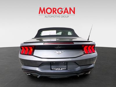 2024 Ford Mustang - Photo 4