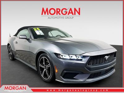 2024 Ford Mustang - Photo 1