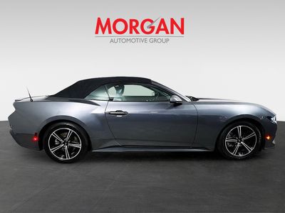 2024 Ford Mustang - Photo 2