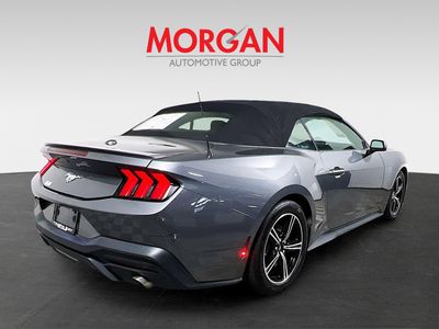2024 Ford Mustang - Photo 3