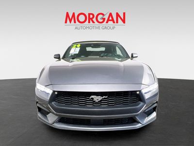 2024 Ford Mustang - Photo 8