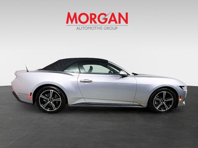 2024 Ford Mustang - Photo 2