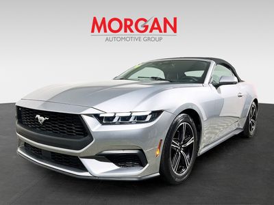 2024 Ford Mustang - Photo 7