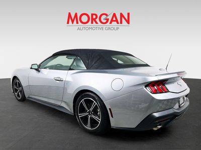 2024 Ford Mustang - Photo 5