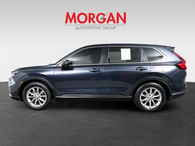 2025 Honda CR-V - Photo 6