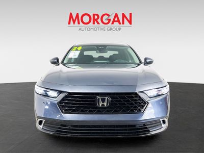 2024 Honda Accord Hybrid - Photo 8