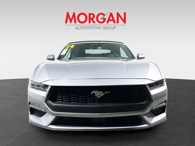 2024 Ford Mustang - Photo 8