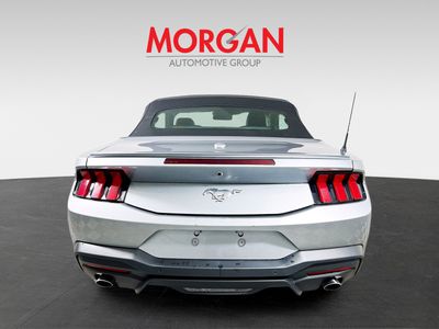 2024 Ford Mustang - Photo 4