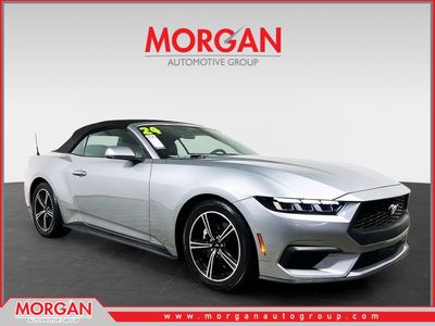 2024 Ford Mustang - Photo 1