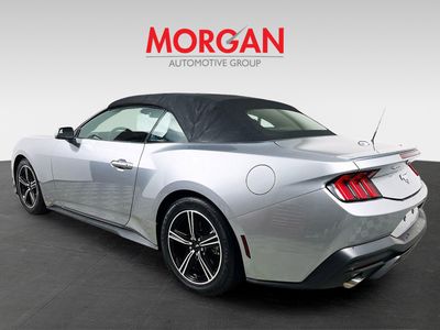 2024 Ford Mustang - Photo 5