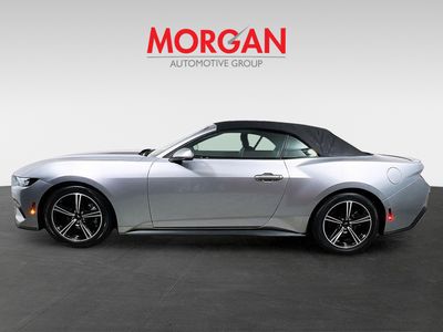 2024 Ford Mustang - Photo 6