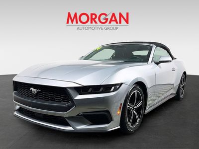 2024 Ford Mustang - Photo 7
