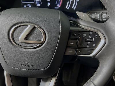 2024 Lexus RX - Photo 17