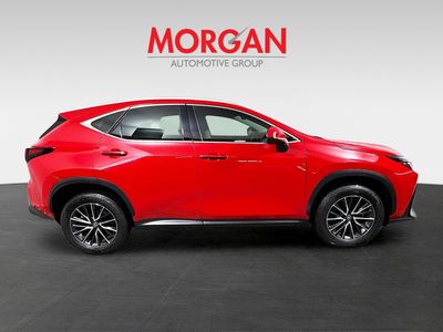 2025 Lexus NX - Photo 2