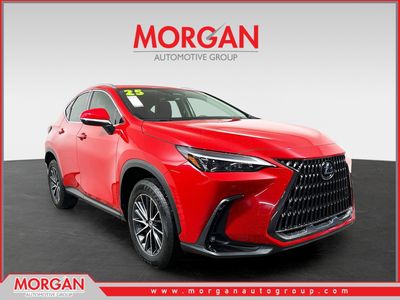 2025 Lexus NX - Photo 1