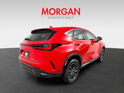 2025 Lexus NX - Photo 3