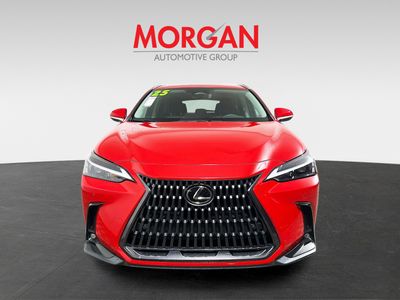 2025 Lexus NX - Photo 8
