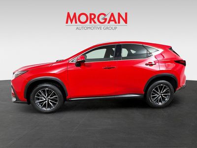 2025 Lexus NX - Photo 6