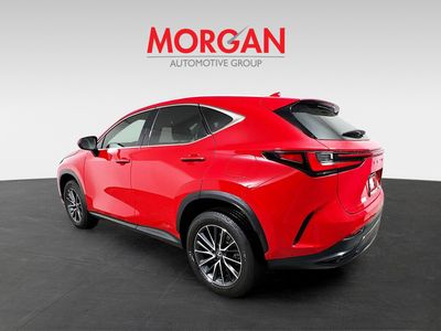 2025 Lexus NX - Photo 5