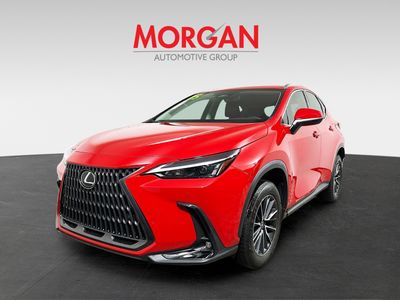 2025 Lexus NX - Photo 7