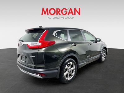 2019 Honda CR-V - Photo 3