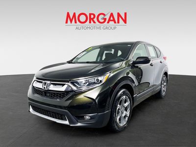 2019 Honda CR-V - Photo 7