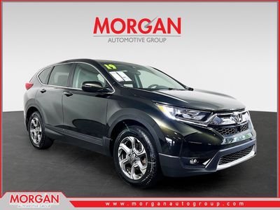 2019 Honda CR-V - Photo 1