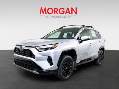 2024 Toyota RAV4 Hybrid - Photo 7