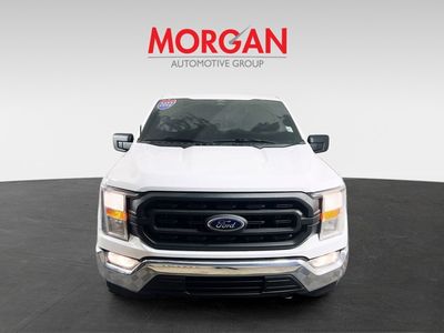2022 Ford F-150 - Photo 3