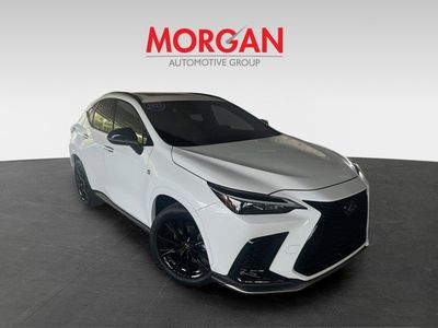 2023 Lexus NX - Photo 2