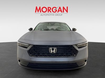 2025 Honda Accord Sedan - Photo 8