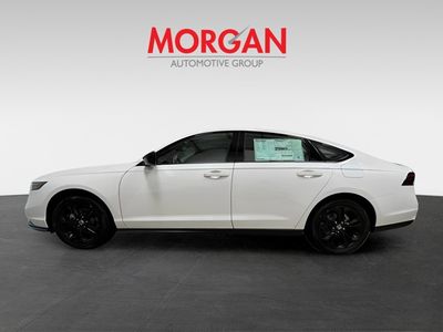 2025 Honda Accord Sedan - Photo 6
