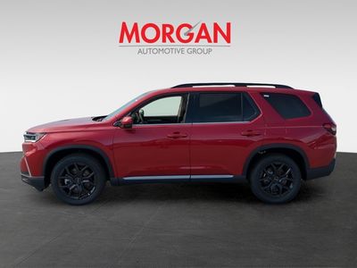 2025 Honda Pilot - Photo 8