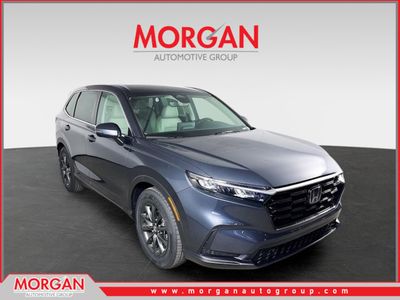 2026 Honda CR-V EX-L in Meteorite Gray Metallic — front three-quarter view