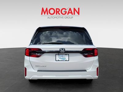 2026 Honda Odyssey — detail view
