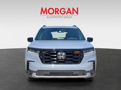 2024 Honda Pilot - Photo 2
