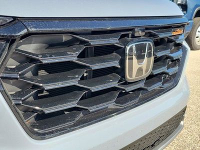 2024 Honda Pilot - Photo 7
